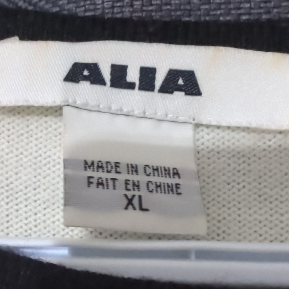 Alia Cream and Black Embroidered Sweatshirt - Picture 2 of 2